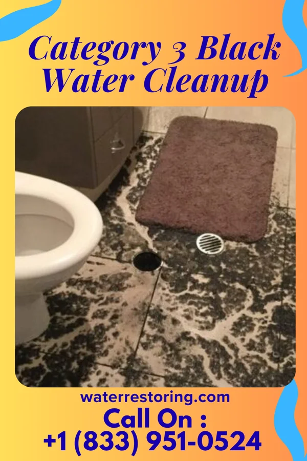 Category 3 Black Water Cleanup in Millersport, OH