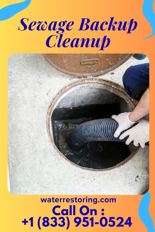 Sewage Backup Cleanup in Millersport, OH