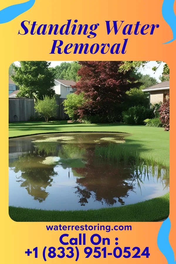 Standing Water Removal in Millersport, OH